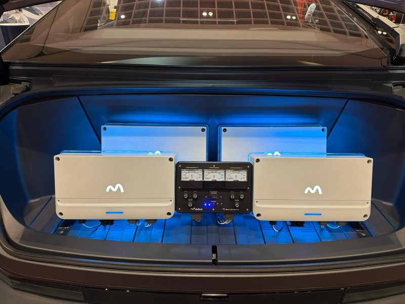 Custom trunk install